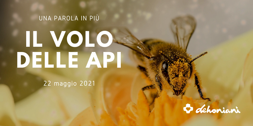 Le api sono fondamentali per il mondo: il loro volo impollina e genera nuova vita.