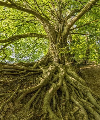 La preghiera va radicata per terra: la sua autenticità si può vedere nella relazione che abbiamo con gli altri