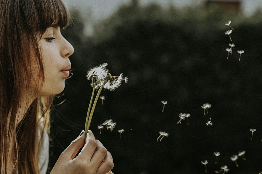 Lo Spirito è quel compagno di strada che ci è necessario per vincere la morte con l'amore