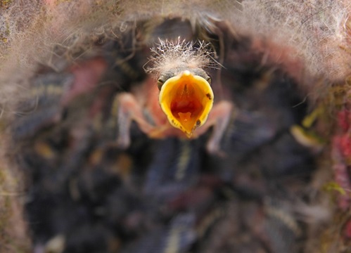 La fame è simbolo dei nostri bisogni. La persona umana è da contemplare nella sua interezza, bisogni e valori