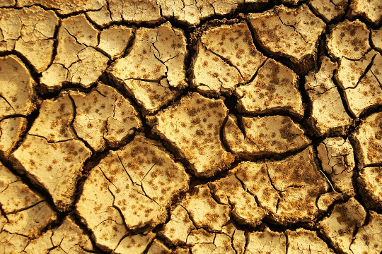 Ogni momento è quello giusto per aprirsi all'amore di Dio